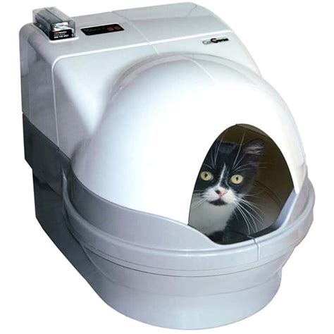 electric cat liter box|best automatic litter box for multiple cats.